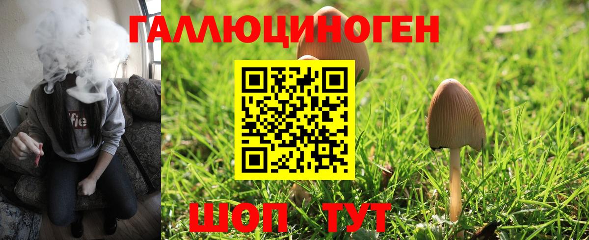 Стерлитамак  даркнет сайт  Вход с VPN  Псилоцибиновые грибы MAGIC MUSHROOMS 